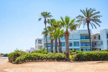 Cyprus. Protaras. Pernera. Hotels on the Mediterranean coast. Kalamies Beach. Palm trees and...