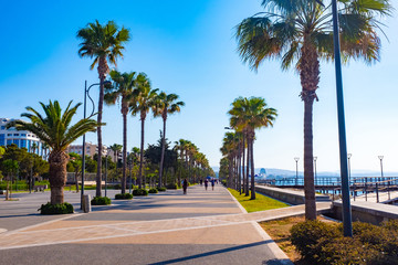 Island of Cyprus. Limassol. Promenade Molos with palm trees. Walking part of Limassol. Mediterranean coast on a summer day. Pedestrian bridges over the water. Rest on the Mediterranean sea.