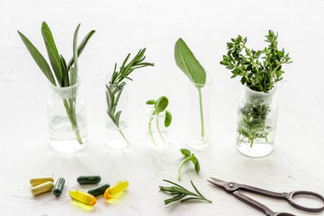 Healing herbs in glasses and medicine on white background