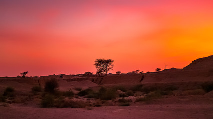 Beautiful sunset view near in Riyadh Desert area Saudi Arabia.