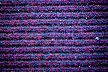 Fototapeta premium knitted wool background