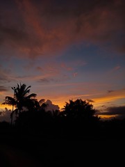 Fototapeta na wymiar sunset in nashik 