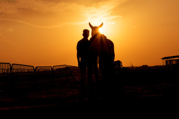 Silhouette of an unrecognizable man and a horse during sunset.