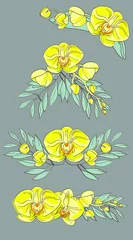 Foto op Plexiglas anti-reflex Yellow orchid flowers and eucalyptus branches. Floral elements set. Vector collection includes floral frames, border. drawn elements for invitations, templates, greetings cards. © Ekaterina