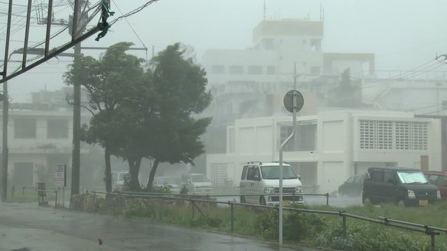 Hurricane Force Wind Lashes Town And Buildings - Songda