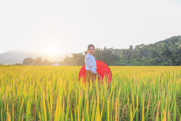 Naklejka na ściany i meble A woman dressed in Lanna dress, holding an umbrella in a rice field on a mountain in Pongpang forest, Mae Chaem, Chiang Mai