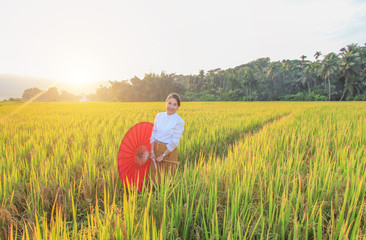 A woman dressed in Lanna dress, holding an umbrella in a rice field on a mountain in Pongpang forest, Mae Chaem, Chiang Mai