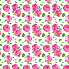 Fototapeta premium summer flowers roses and green leaves, watercolor patterns