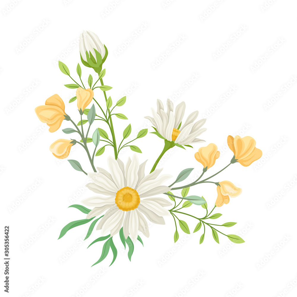 Wall mural daisy flowers vector composition. field chamomile blossom concept