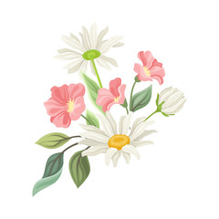 Daisy Flowers Vector Composition. Field Chamomile Blossom Concept