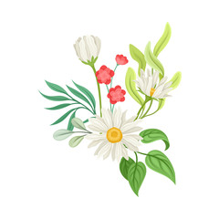 Bouquet of Daisy Flowers Vector Composition. Natural Floral Decoration