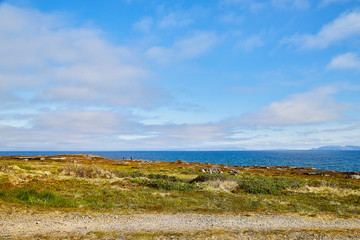 Norway landscape with beach of the Northern sea in sun day with white clouds