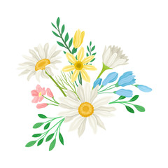 Bouquet of Daisy Flowers Vector Composition. Natural Floral Decoration