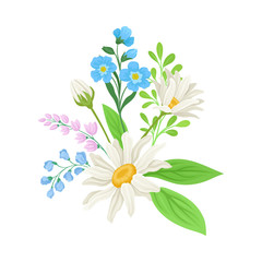 Bouquet of Daisy Flowers Vector Composition. Natural Floral Decoration