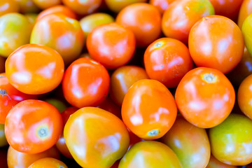 Fresh tomato close up shot