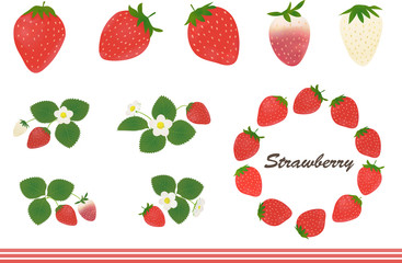 いちご　葉っぱ　花　フレーム（strawberry set）