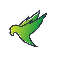 flying eagle design vector premium