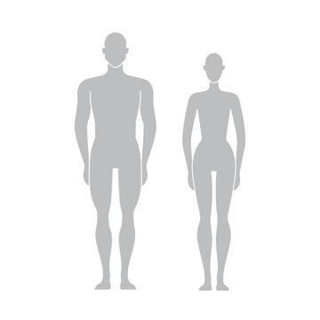 Vector dummy silhouette. Mannequin male and female.