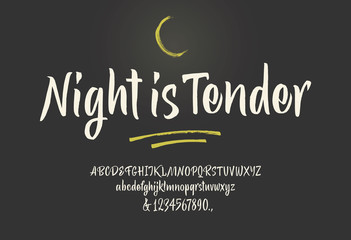 Night is Tender handwritten font. Script. 