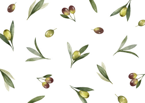 Watercolor vector card of olive branches and leaves.