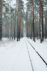 Fototapeta premium Railways through beautiful winter forest. Winter lanscape with heavy snowfall.