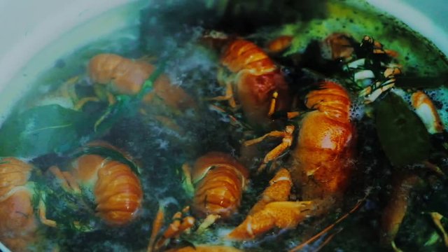 Crayfish seafood in boil crawfish delicious food fresh, shell steam.