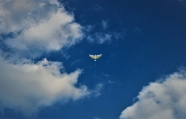 balloon in blue sky