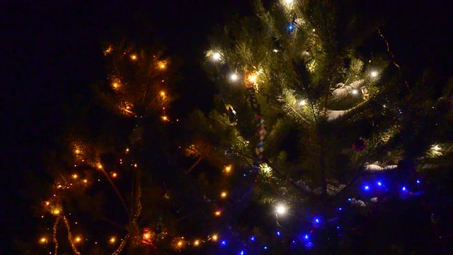 Coniferous firs decorated with luminous garlands shake in the wind outside on a dark Christmas night.