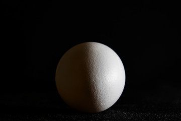 Egg closeup on black background with space for text. 