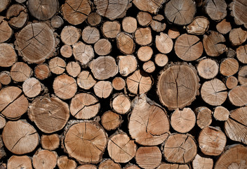 Many wooden logs of different sizes lying on top of each other textured background.