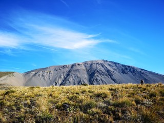 Molesworth Station - New Zealand