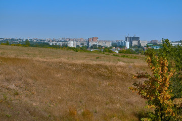 Fototapeta na wymiar panorama of the big city with high brick houses on the edge of the forest on a summer day