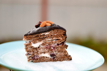 Delicious homemade sponge cake with sour cream with cranberries, decorated with chocolate icing and nuts
