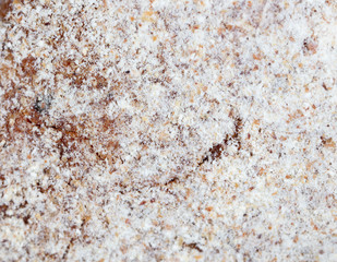 White flour on a crust of bread