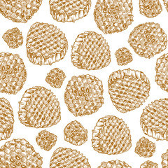 Honeycomb pieces. Honey elements engraved vintage seamless pattern. Vector illustration