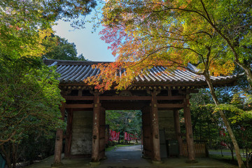 Daigoji temple and autumn maple trees Kyoto