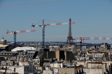 Fototapeta na wymiar Eiffel Tower with french cranes