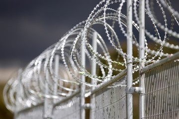 razor wire security fence