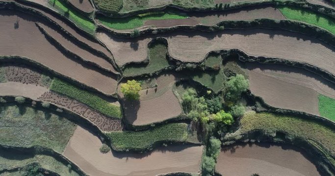 aerial view of  terraced fields and village from above. Qinghai, China