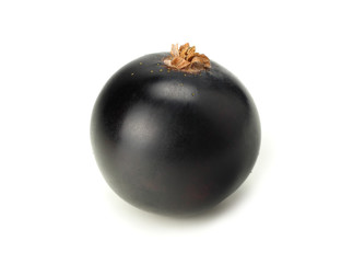 single black currant isolated on white background. macro