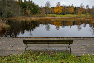 Obraz premium bench overlooking calm water and autumn forest