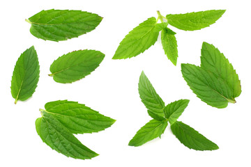 Naklejka na ściany i meble Fresh mint leaves isolated on white background