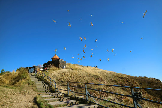 Stairs Leading to Sevanavank Monastery and a Large Group of Flying Seagulls in Blue Sky, Sevan Peninsula in Armenia 