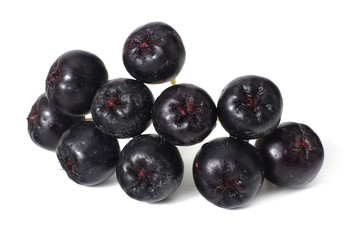 Chokeberry isolated on white background. Black aronia