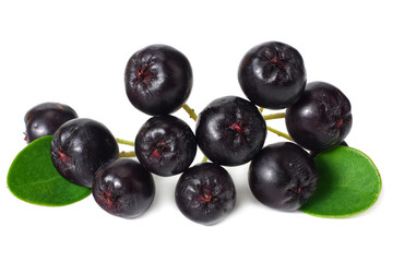 Chokeberry with green leaves isolated on white background. Black aronia