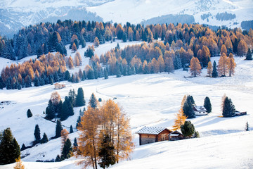 Beautiful Winter at Alpe di Siusi, Seiser Alm - Italy - Holiday background for Christmas. 