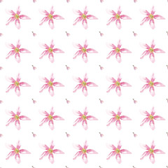 Seamless pattern with delicate  flowers. Use for wedding invitations, invitations, menus, birthdays.
