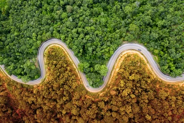 Fotobehang Hal Kronkelende weg in het bos. Herfst, zomertTop-down luchtfoto.