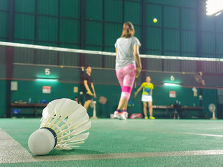Shuttlecock on the badminton court