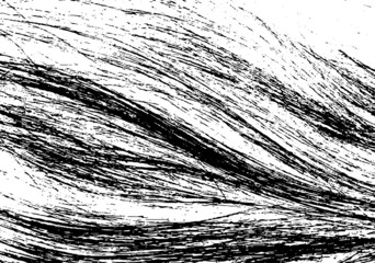 Vector brush srokes texture. Distressed uneven texture. Grunge background. Abstract vector illustration. Overlay to create interesting effect and depth. Black isolated on white background. EPS10.